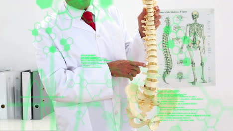 animation of medical data processing over midsection of caucasian male doctor explaining spine