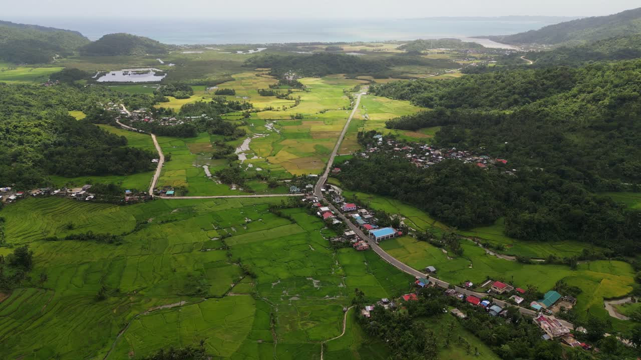 Remote Town Of Libjo With Rice Fields Surroundings In Bato, Catanduanes Philippines. Aerial Drone Shot