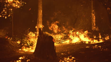 forest fire spreads rapidly through dense vegetation during nighttime