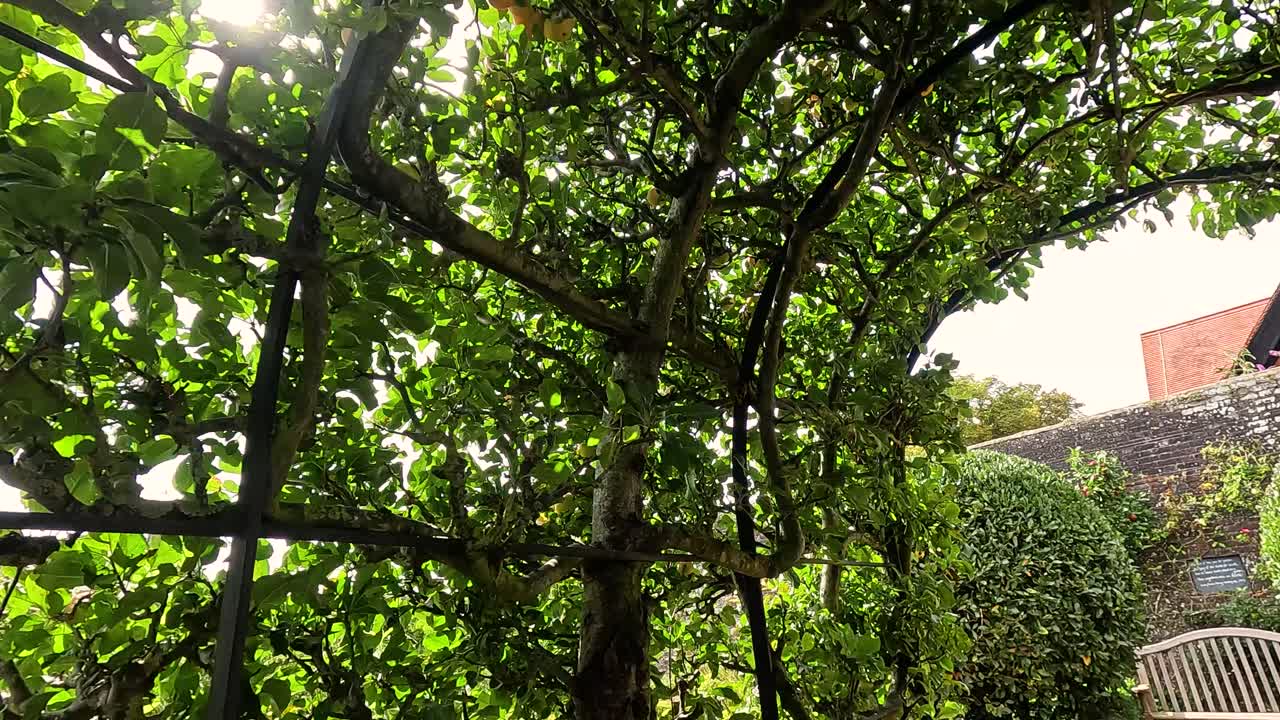 A garden archway leading to a bench