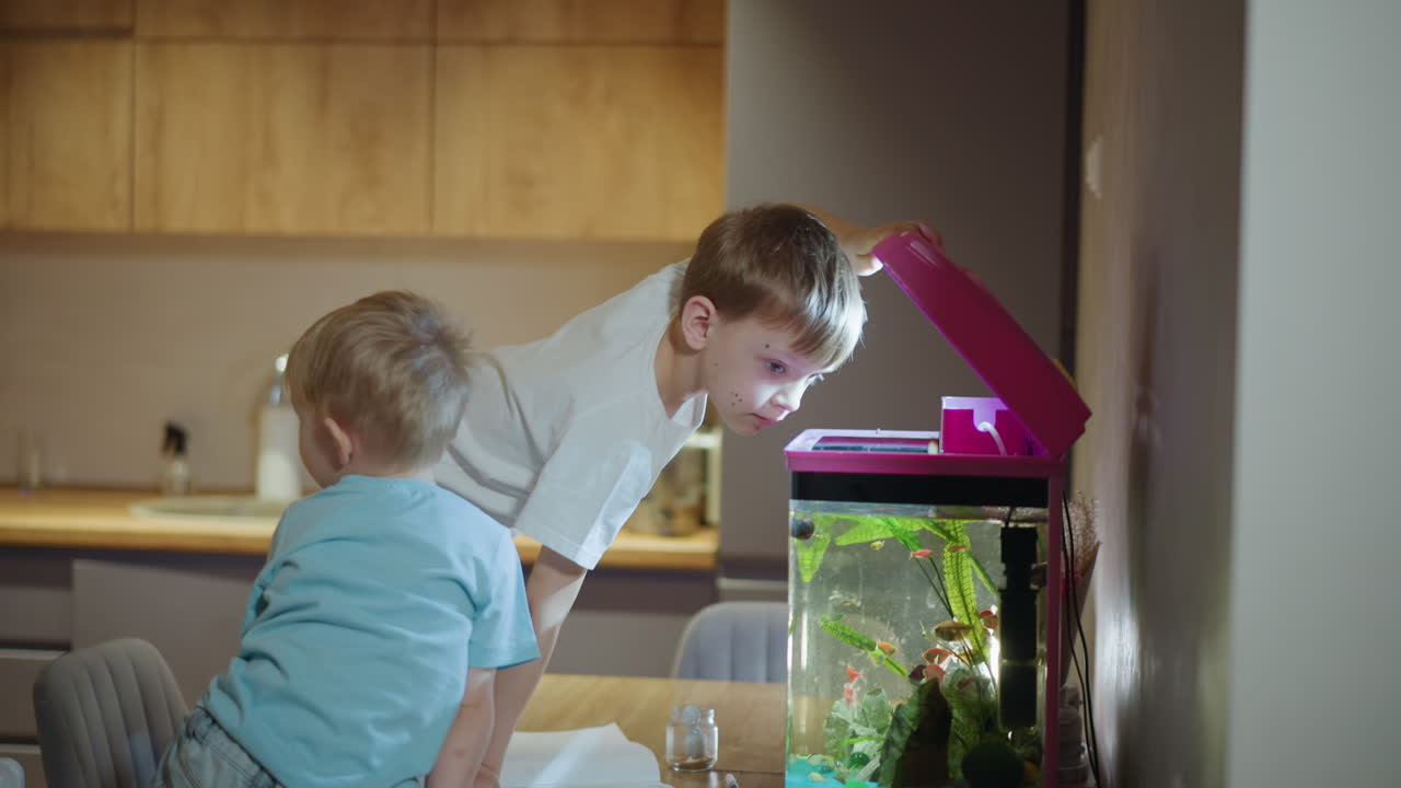 Two young boys explore aquarium at home, one boy in white shirt lifts lid while younger boy in blue shirt leans forward with curiosity to peer inside tank filled with colorful tropical fish and green plants
