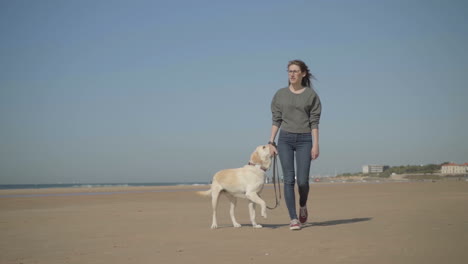 calm woman walking with pet on sandy beach and looking at sea.