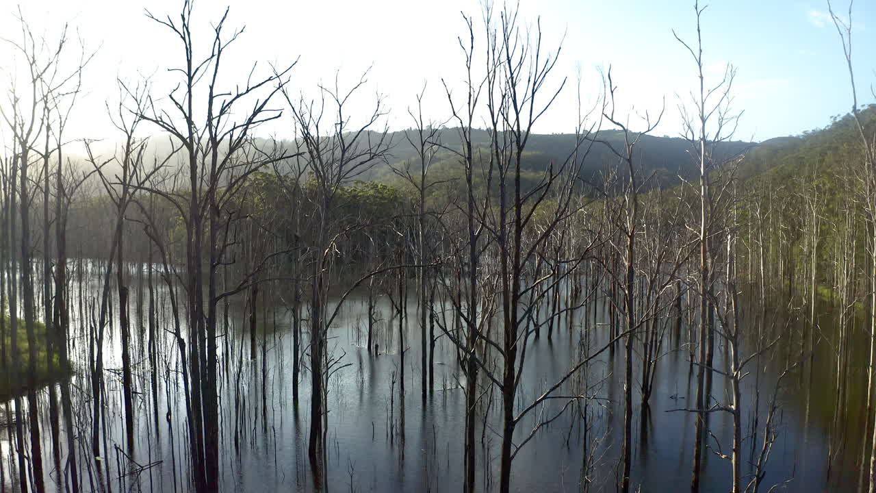 You'll learn so much on your walk through nature