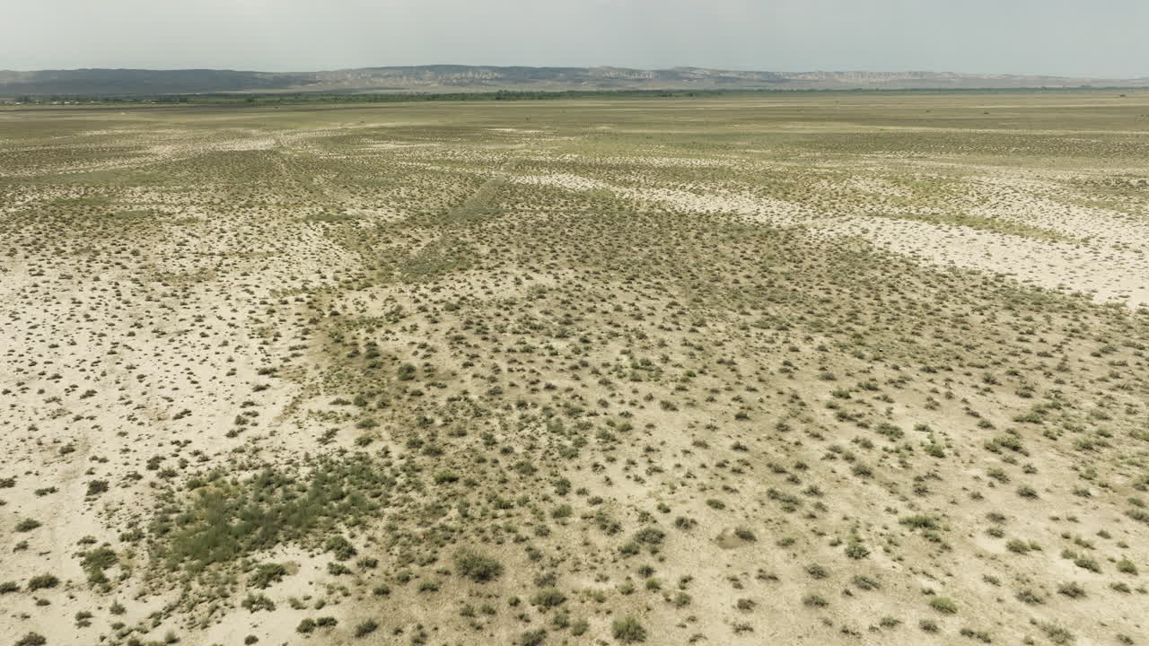 vasta estepa árida con céspedes de arbustos en la reserva natural de vashlovani, georgia