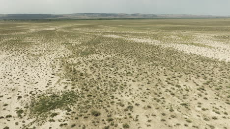 vast arid steppe with bush turfs in vashlovani nature reserve, georgia