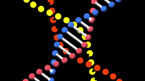 Animation-Von-DNA-Strängen,-Die-Sich-Auf-Schwarzem-Hintergrund-Drehen