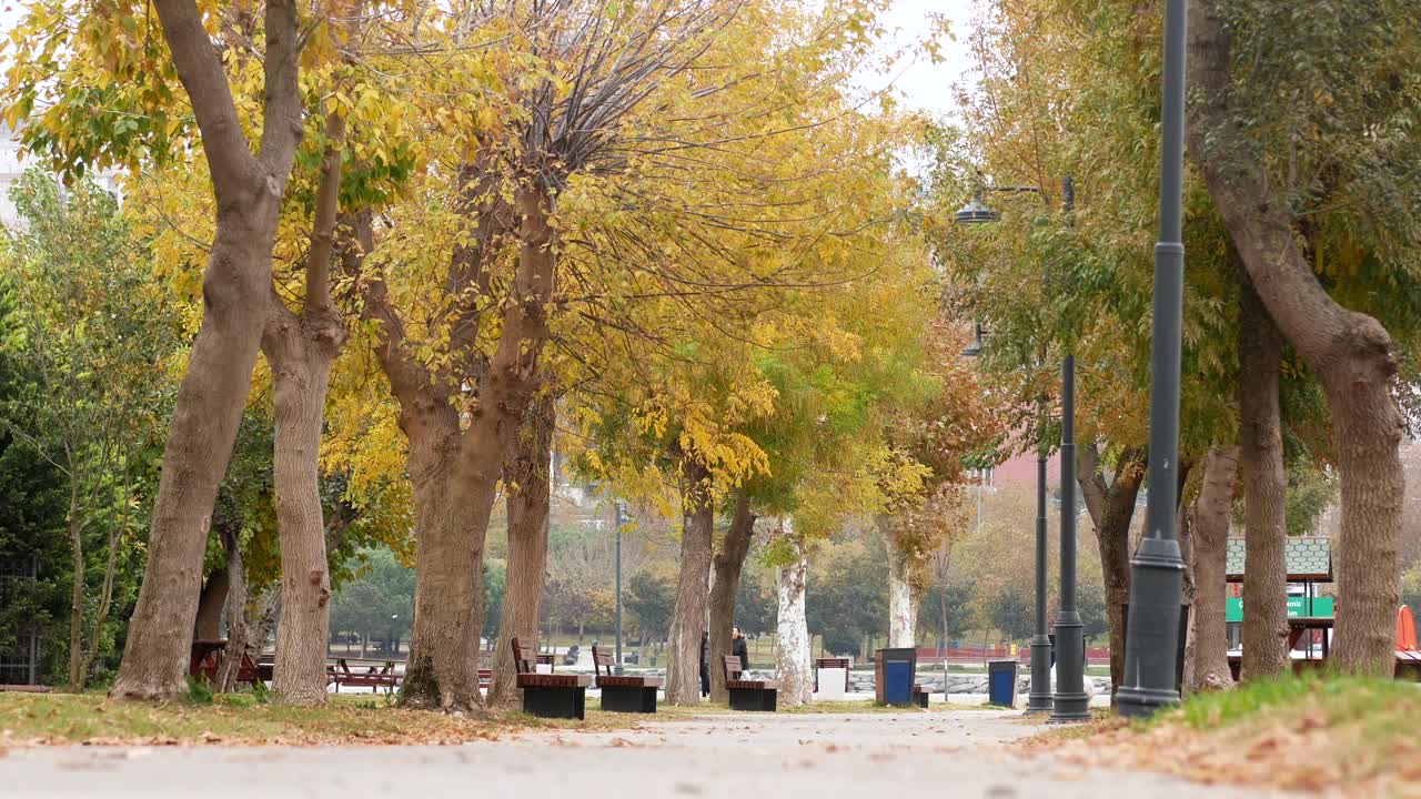 가을 공원 산책로