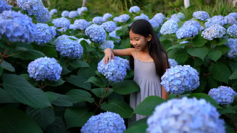 young girl admiring blue hydrangea flowers in a garden