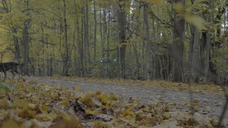 Drohne-Verwendet-Ihre-Propeller,-Um-Einen-Haufen-Herbstlaub-Wegzublasen