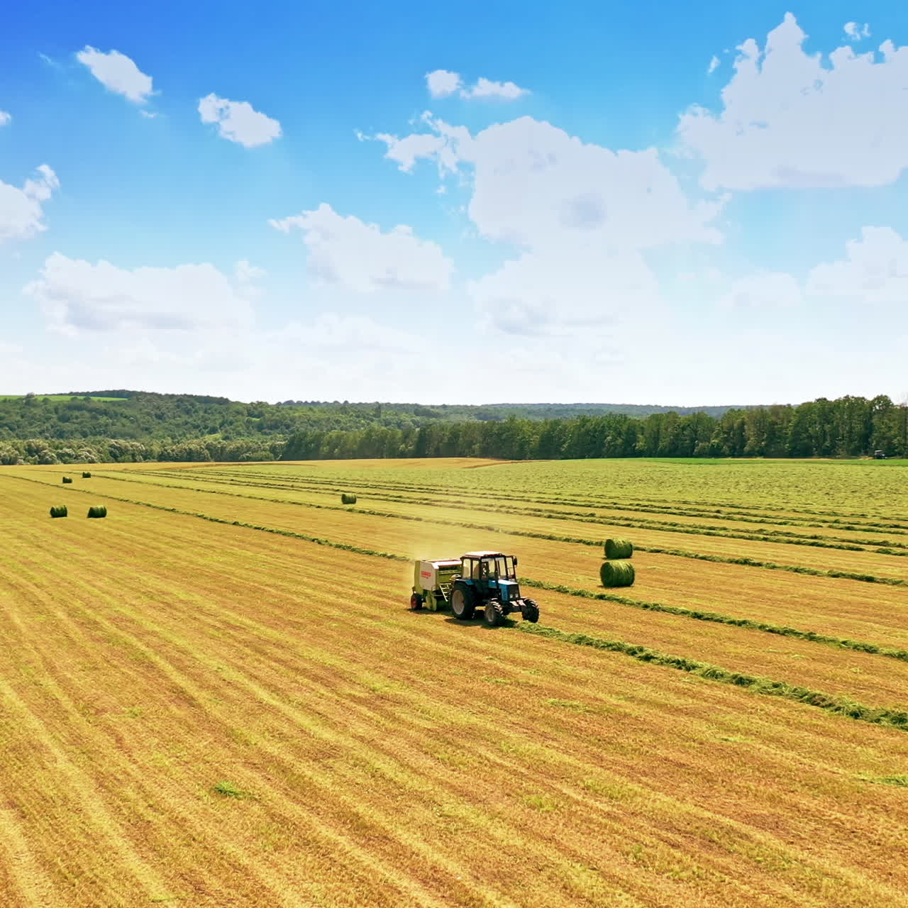 Tractor gather green grass on the field background. Agricultural works of pressing grass into bales. Process of preparation fodder for livestock outdoors.