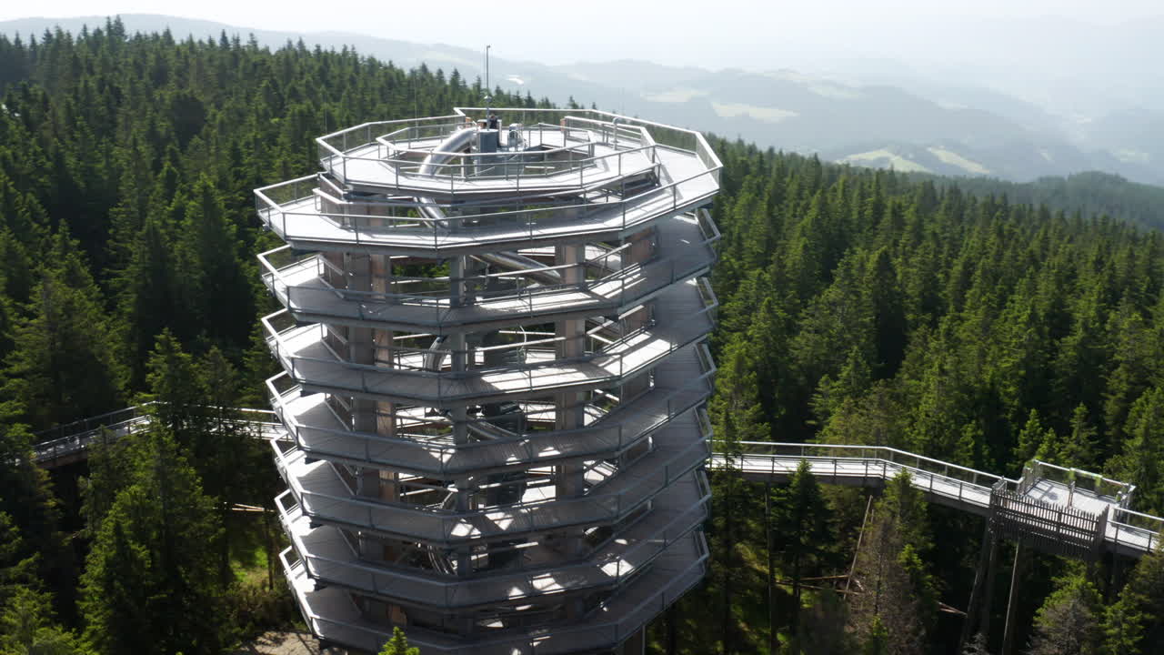 Spiral Wooden Observation Tower in a Pine Forest