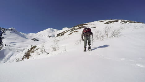 冬季徒步旅行者在阿拉斯加科迪亞克島的雪山上滑雪