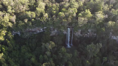 toma aérea en órbita de la idílica caída de salto arrechea que fluye en medio de la selva de iguazú durante la luz del sol - frontera argentina y brasileña