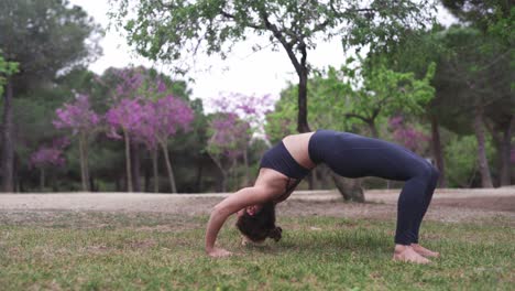 práctica de nivel profesional de elevación de pierna de backbend en barcelona españa