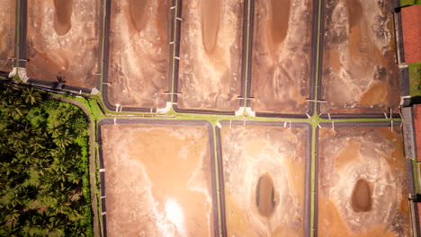 vista aérea de seguimiento de los estanques vacíos de la granja de camarones de acuicultura