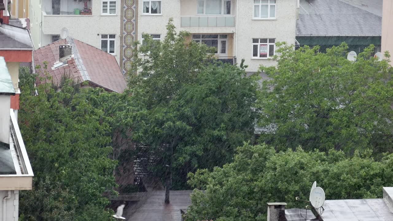 비가 오는 도시 풍경