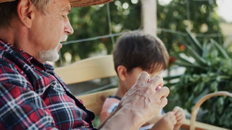 video of grandfather talking with grandson and eating tomato