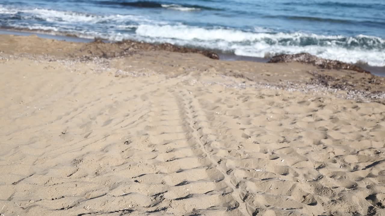 Marked sea turtle nests and trackings of them on the Akamas Peninsula.