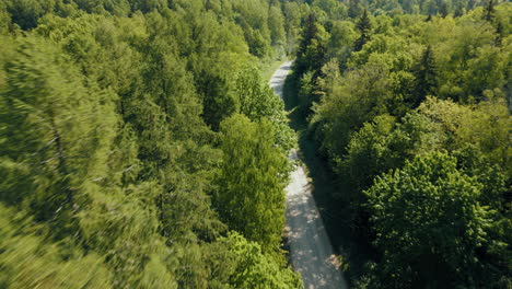 Bosques-Verdes-De-Letonia-En-El-Mes-De-Mayo