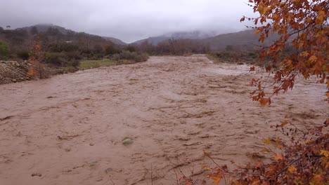 flood waters moving fast down the ventura river near ojai california with storm runoff during winter weather flooding