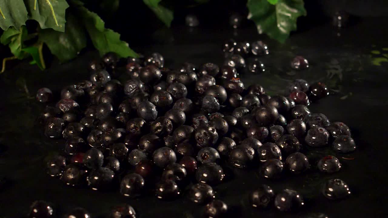 블루베리가 슬로우 모션으로 물에 빠지다