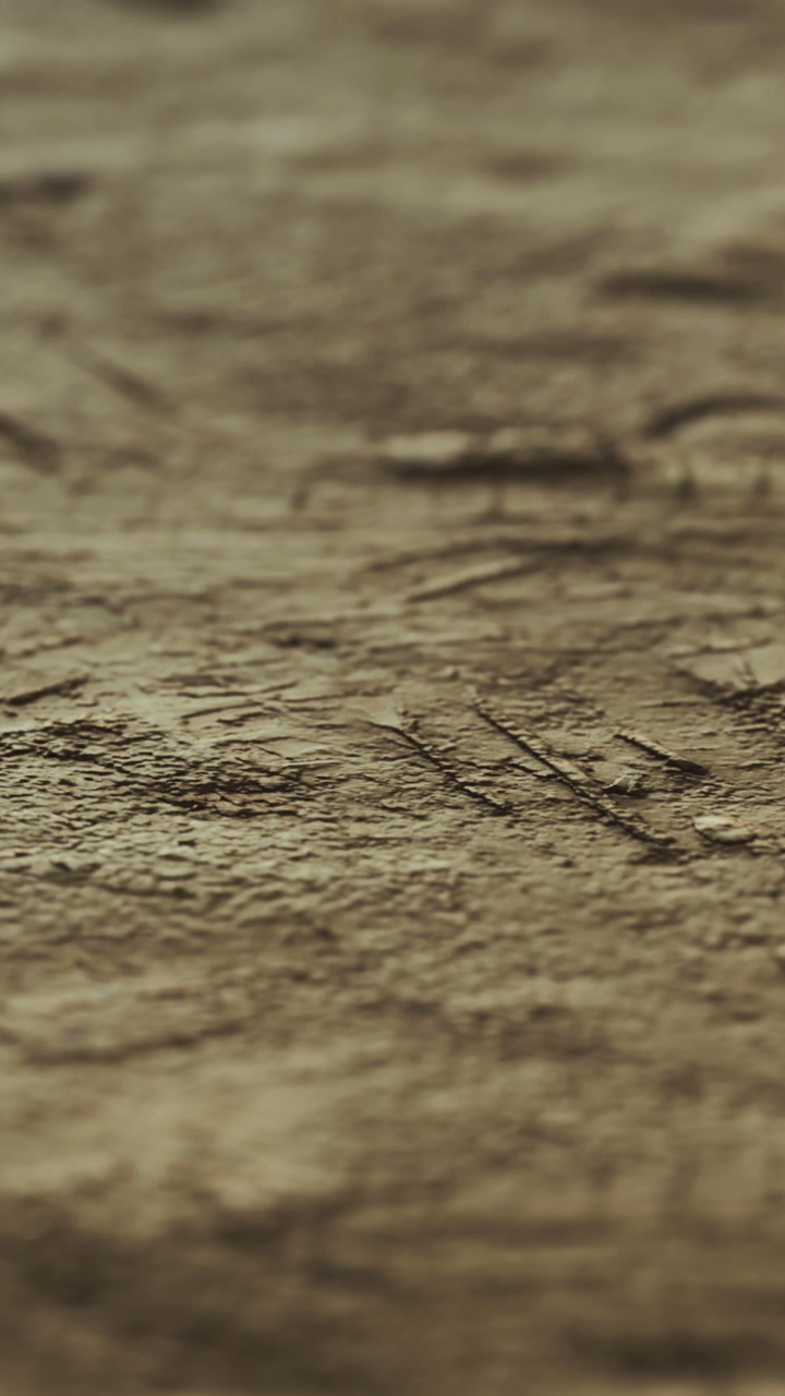 Close view of textured wood surface with natural patterns and lines