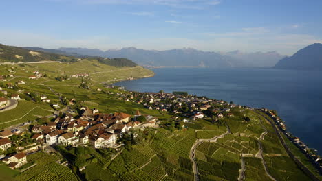 volar sobre el paisaje urbano rodeado de exuberantes viñedos de lavaux sobre grandvaux con vistas al lago de ginebra en suiza