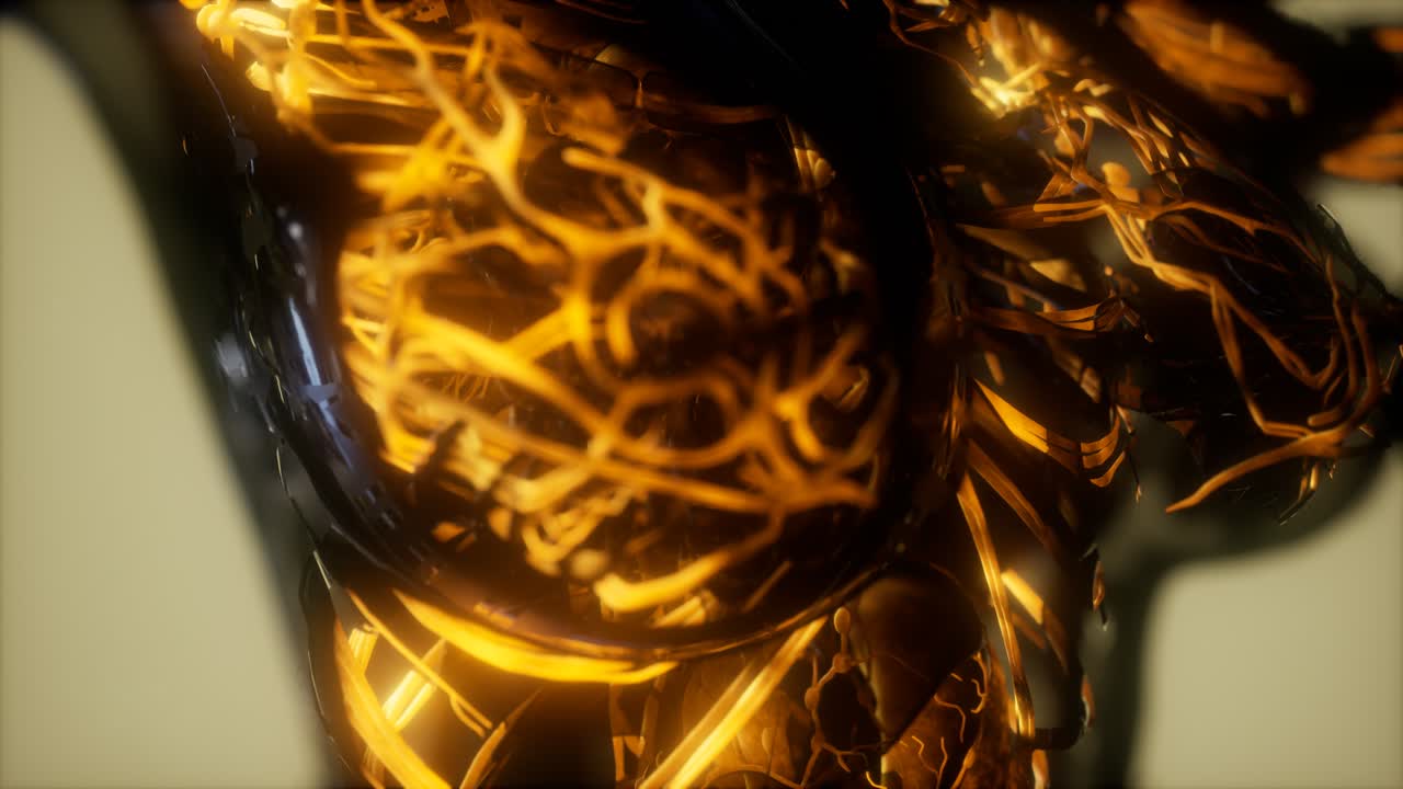 inspección de la sangre en los vasos sanguíneos del sistema circulatorio