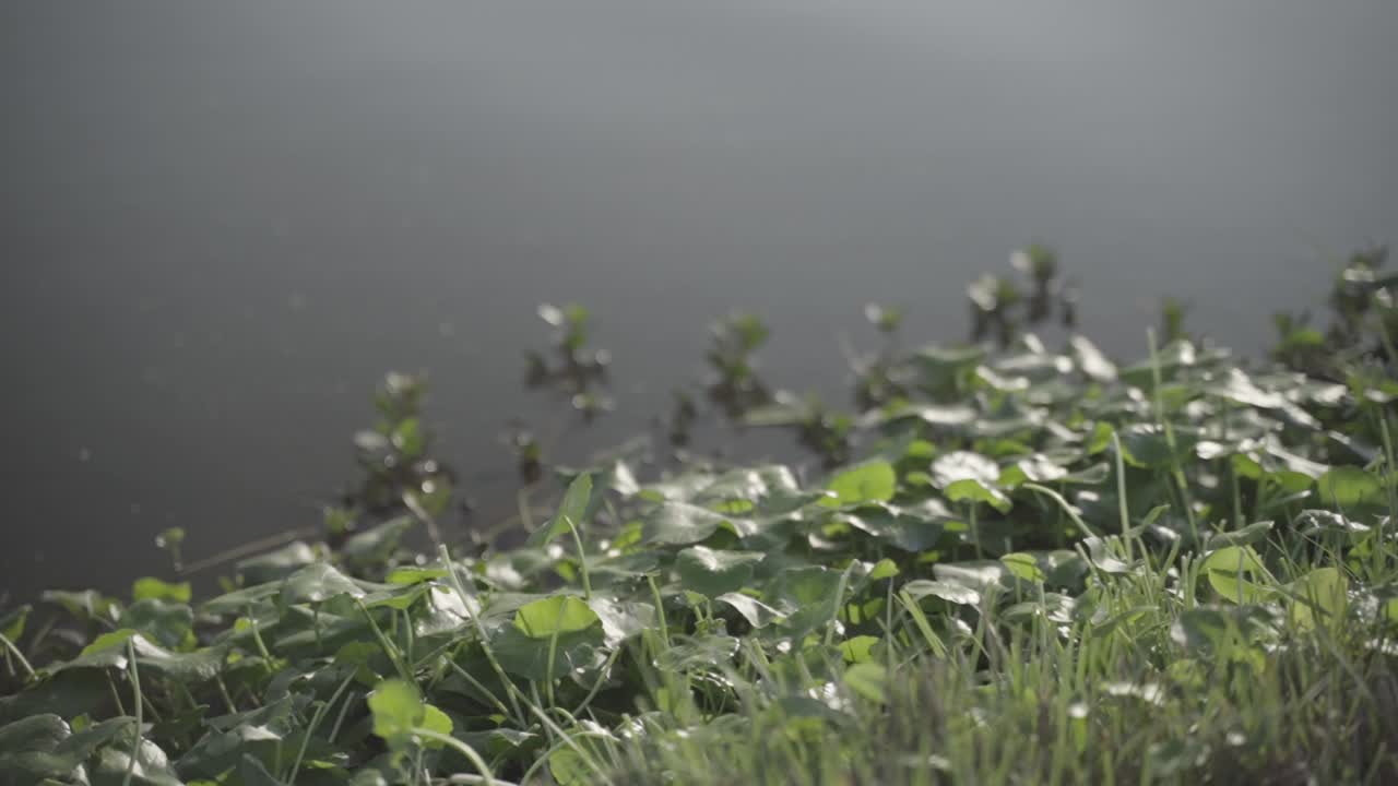 더러운 산업 폐수 환경 파괴, 지구 온난화 재해 오염 지구