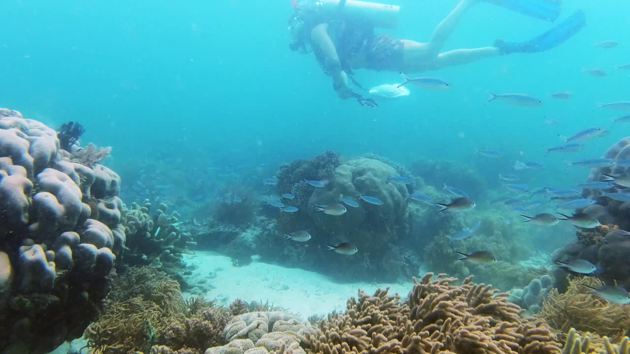 이것이 인생의 진정한 의미입니다.