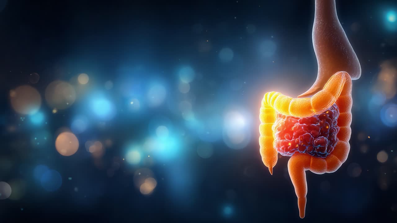 Visualizzazione ravvicinata del sistema digestivo umano: Una straordinaria rappresentazione 3D che evidenzia le complessità dell'intestino e il loro ruolo nella digestione.