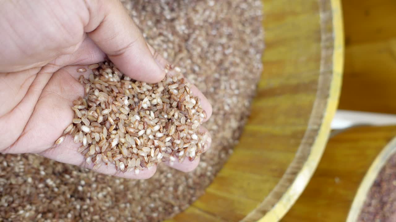 Hand holding brown rice