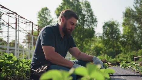 gardener squatting in farm garden wipes sweat from face with gloved hand while tending soil around seedlings under bright sun, rural scene of hard work, patience