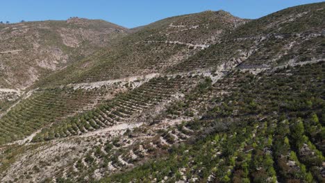 Vista-Aérea-De-Reforestación