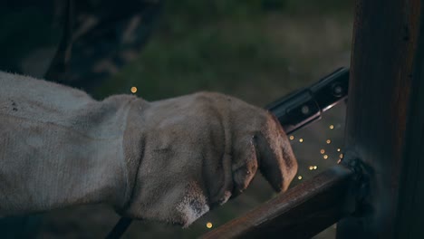 slow-motion-close-view-craftsman-in-gloves-welds-carcass