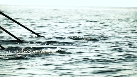 Close-up-on-rowing-oars-silhouette-paddling-in-water-to-win-a-team-competition