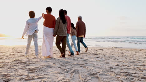 de vuelta, la familia tomándose de la mano en la playa y la puesta de sol