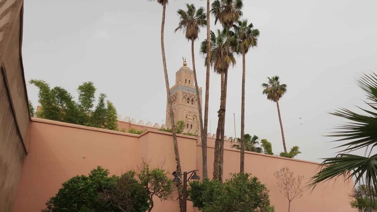 establecimiento de la toma mirando hacia arriba en la torre de la mezquita de koutoubia entre las altas palmeras