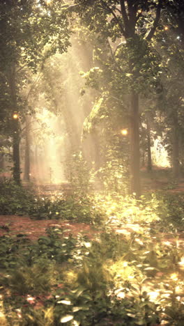 enchanted forest path with sunbeams and glowing lights