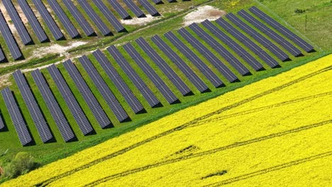 solar panels in a green field, surrounded by vibrant yellow rapeseed crops, aerial view