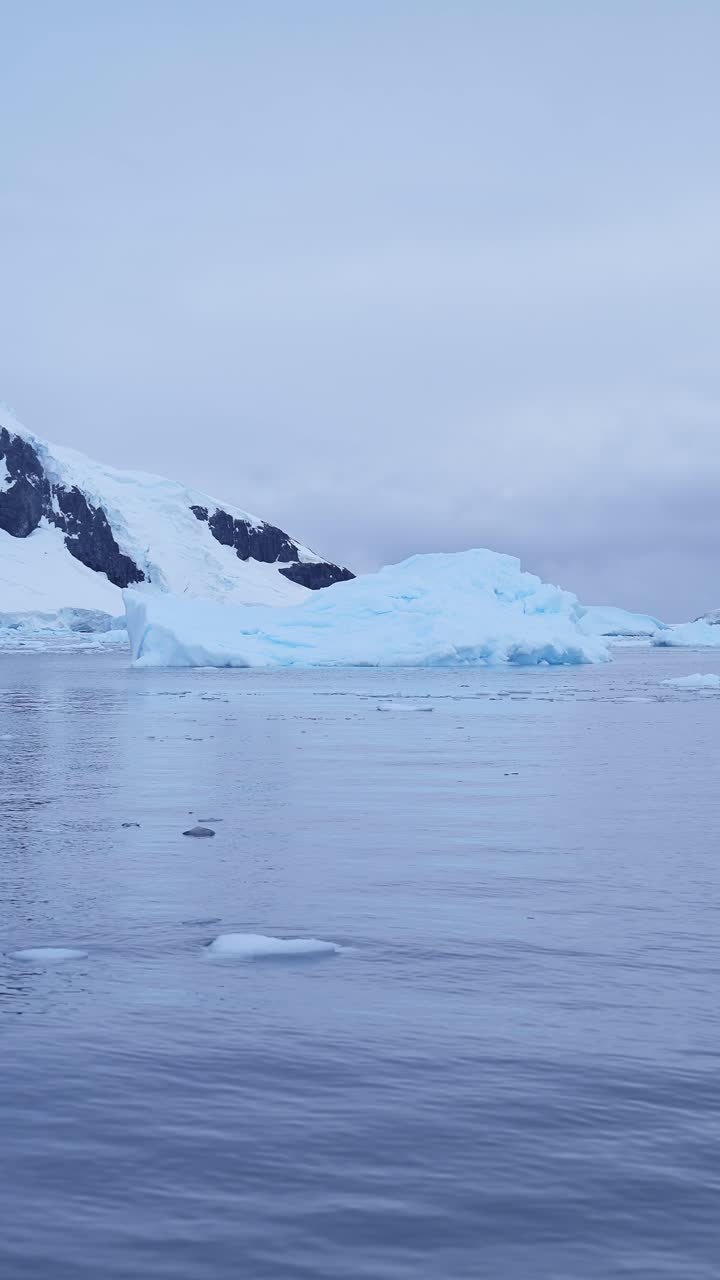 Paisaje marino de iceberg, hielo y mar en la Antártida, video vertical de naturaleza invernal de la Península Antártica para redes sociales, Instagram Reels y TikTok, agua oceánica y paisaje helado azul