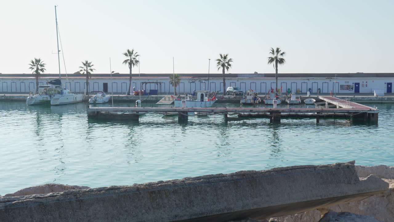una toma secuencial captura el barco de un pescador dando marcha atrás y alejándose mientras los gatos caminan alrededor de la pared superior durante las primeras horas de la mañana.