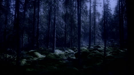 Bosque-Místico-Aterrador-Iluminado-Por-La-Luz-De-La-Luna-En-La-Noche,-Revela-Una-Vista-Ascendente