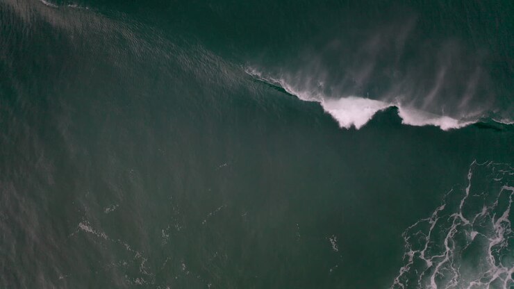 Dynamic Ocean Waves from Above