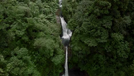 aerial reveal shot of the incredible la paz waterfall on a sunny day, a cascade situated in costa rica. the water flows on three levels of pools, and finishes with a huge splash on the bottom.