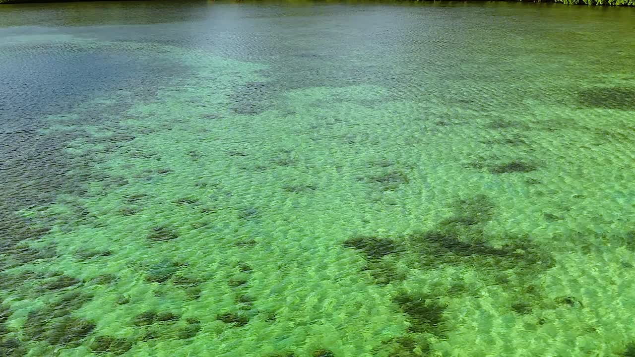 Ripresa drone dall'alto che cattura l'acqua limpida e turchese dell'oceano sopra un vivace ecosistema di barriera corallina tropicale