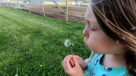 niña soplando flor de diente de león. camara lenta