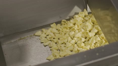 production factory line moves golden potato chips after frying. production line of the pasta factory