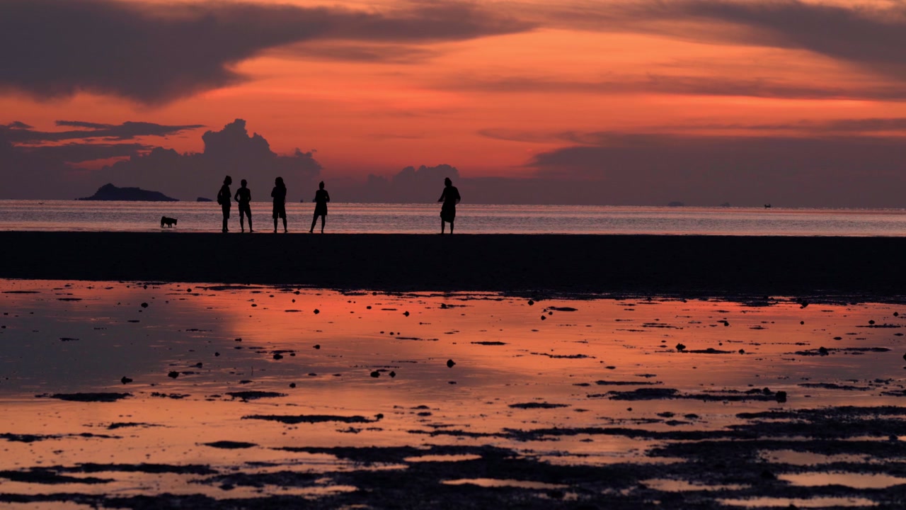 Sagome di persone e un cane sulla spiaggia al tramonto.