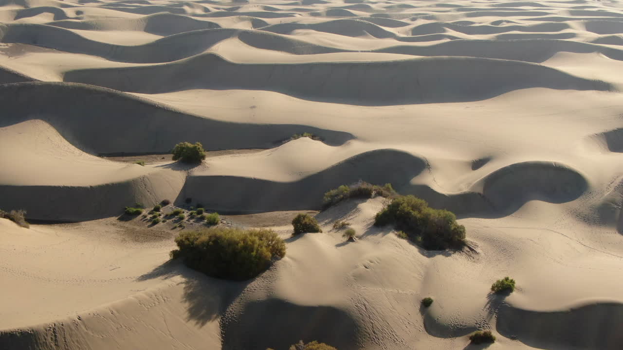 Golden hour aerial view of Maspalomas dunes in Gran Canaria. Canary Islands